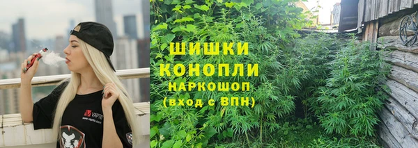 амф Богородск